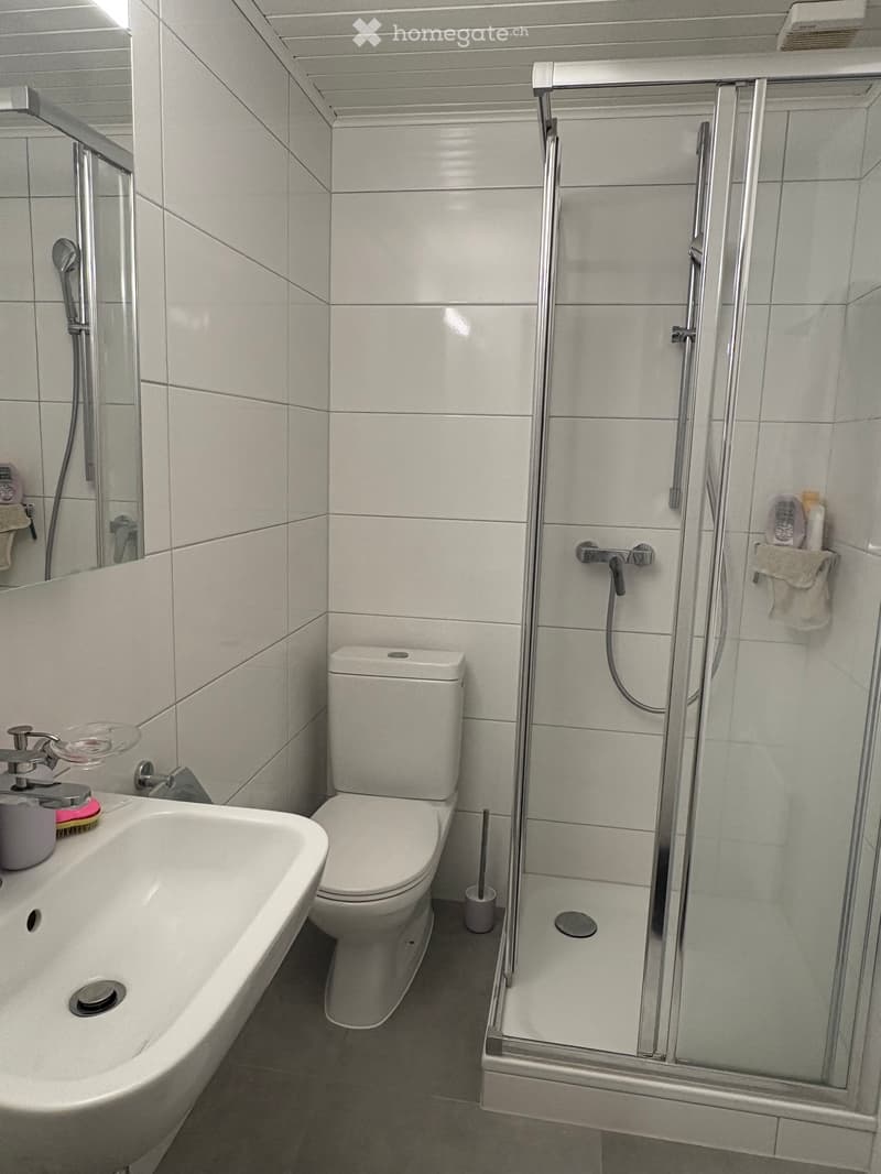 Appartement à louer / flat to rent (5)