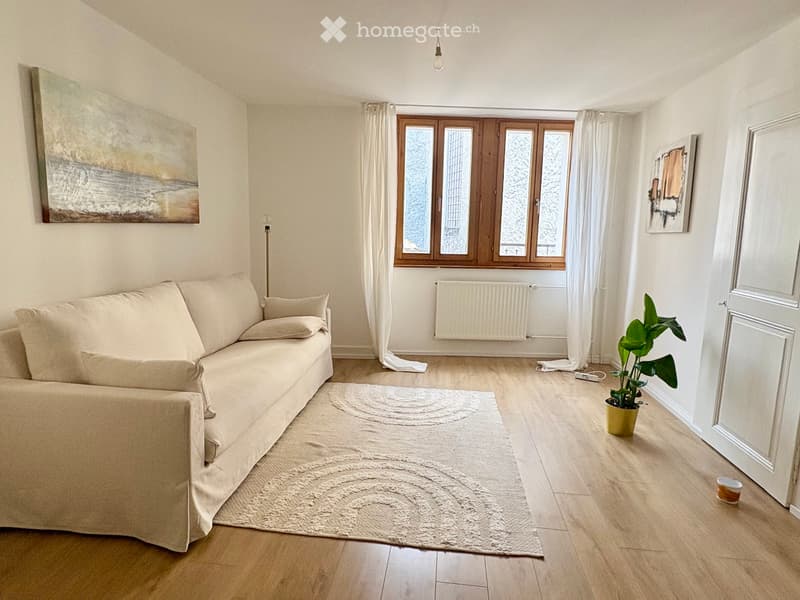 Appartement à louer / flat to rent (1)