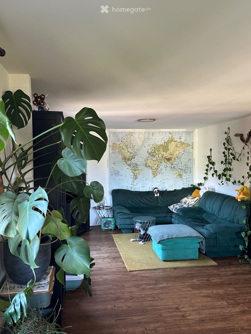 Grande maison avec jardin (3)