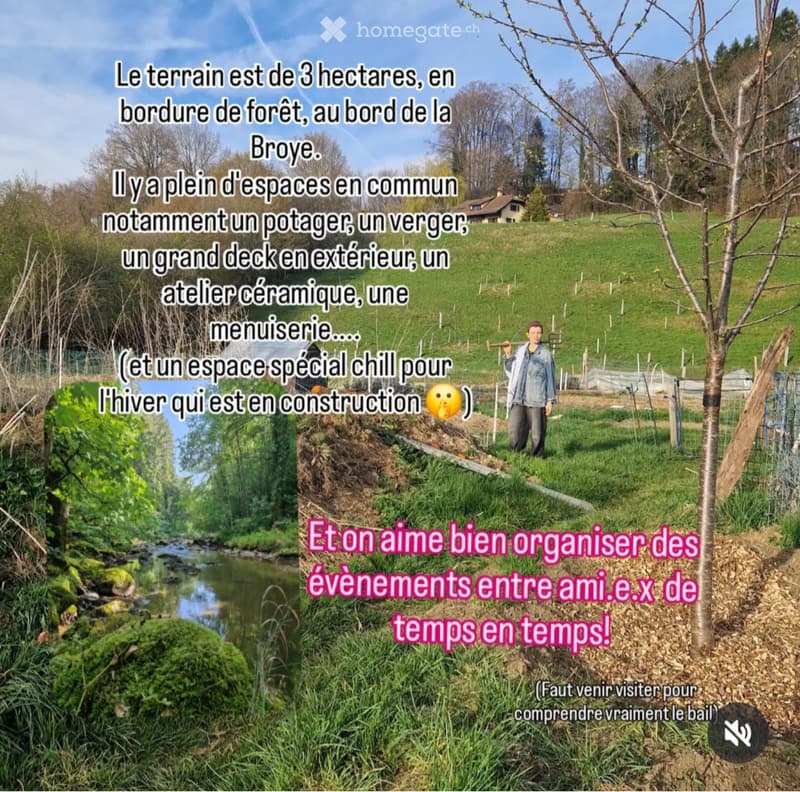 Chambre en colocation/collectif à Ecoteaux (4)