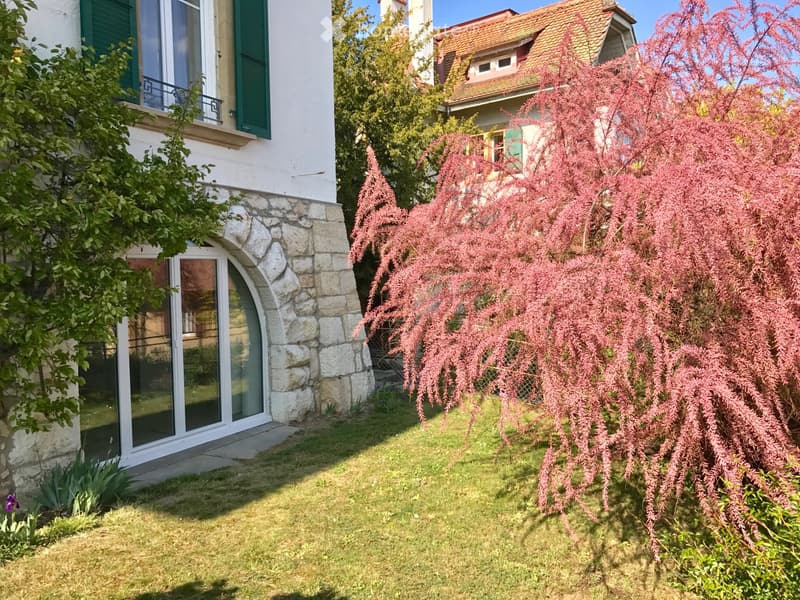 A louer studio à ETUDIANTE, quartier UniMail, Neuchâtel (5)
