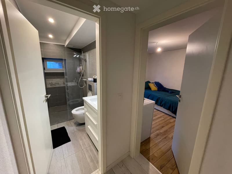 Appartement de 5.5 pièces avec terrasse (vieille ville) (5)