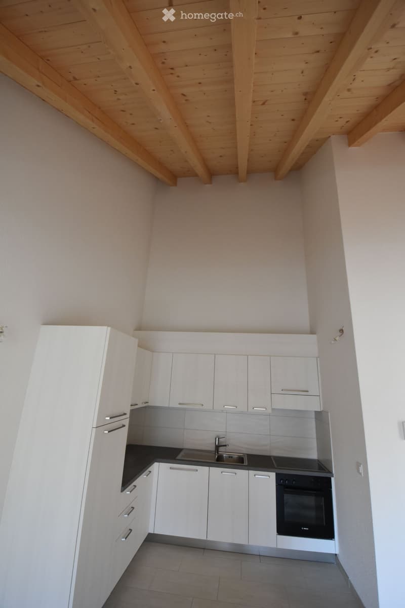 Magnifique appartement 2.5 pièces (55m2) vue sur les alpes (2)