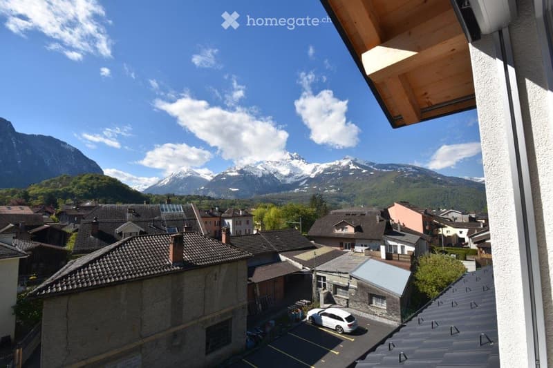 Magnifique appartement 2.5 pièces (55m2) vue sur les alpes (5)