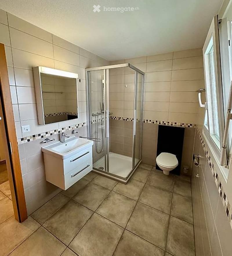A louer studio 1,5 (4)