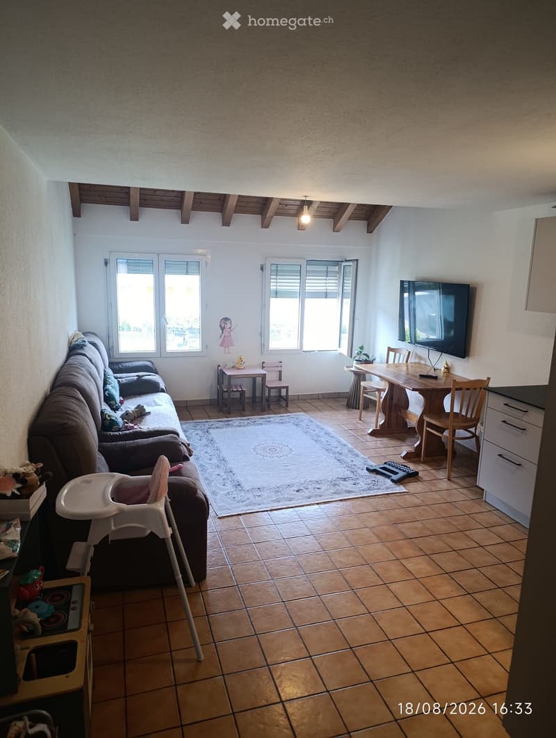 Appartement en duplex entièrement rénové (3)