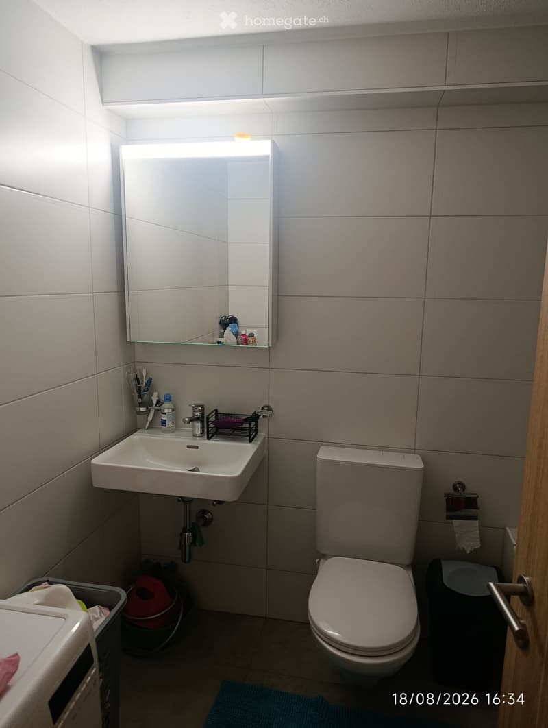 Appartement en duplex entièrement rénové (2)