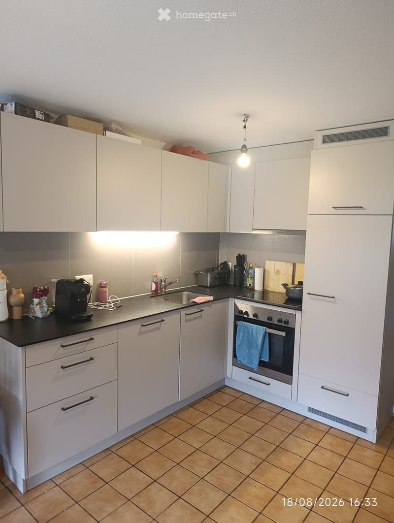 Appartement en duplex entièrement rénové (1)