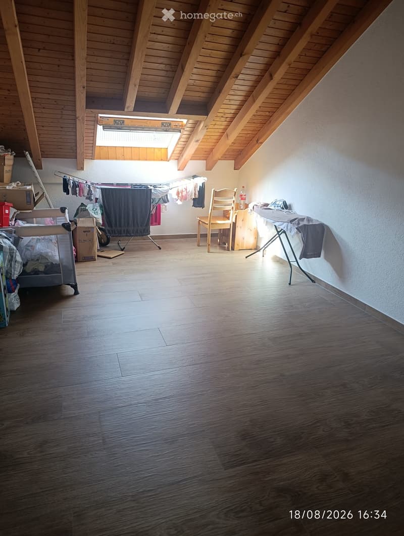 Appartement en duplex entièrement rénové (4)