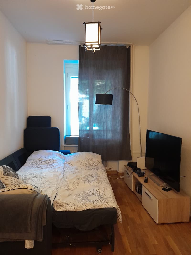 For rent 2.5 BR in kreis 3 Zurich (2)