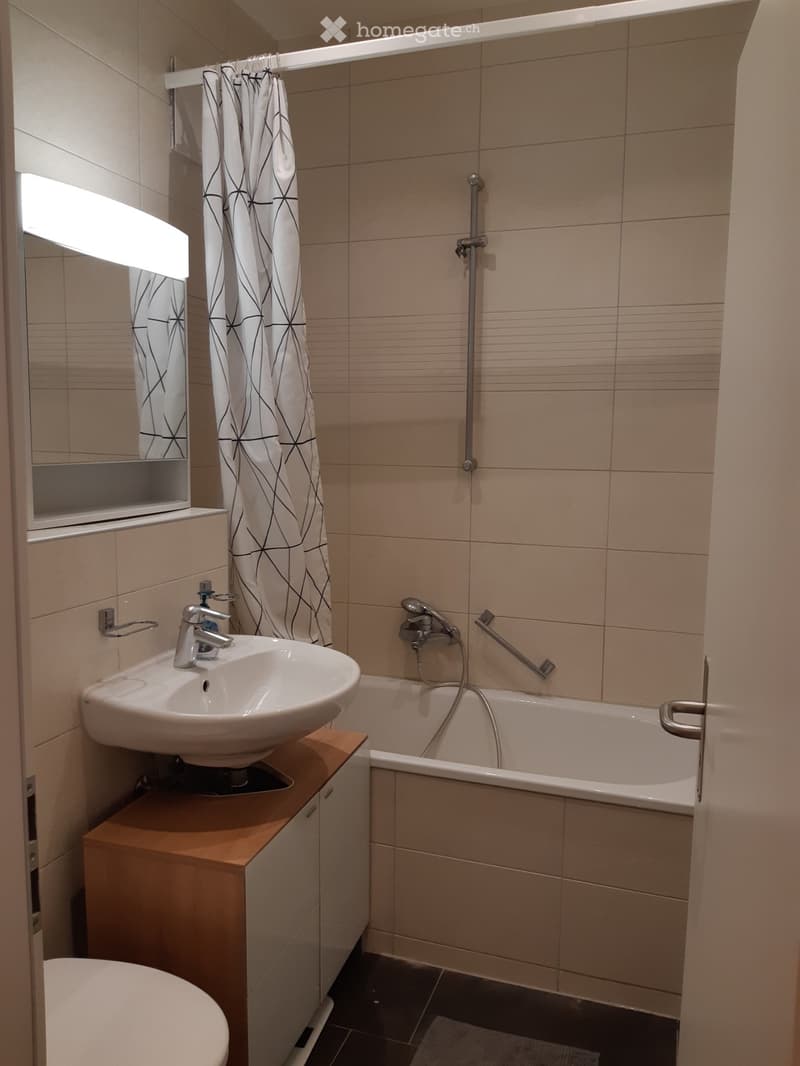 For rent 2.5 BR in kreis 3 Zurich (5)