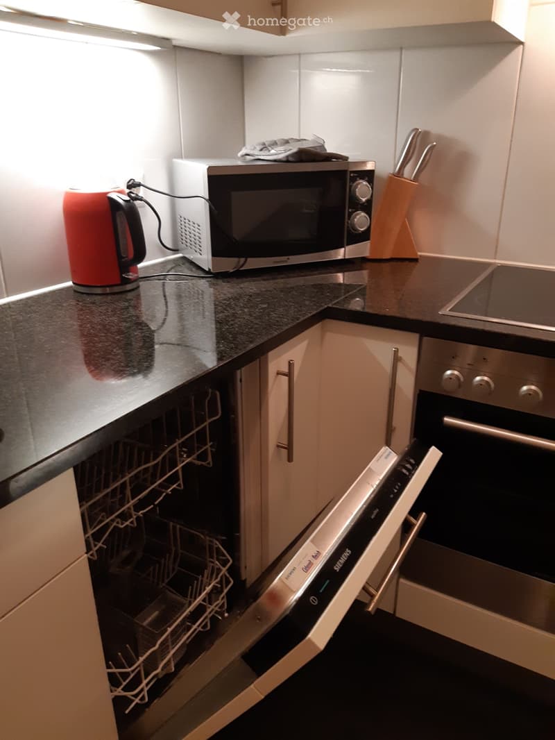 For rent 2.5 BR in kreis 3 Zurich (3)