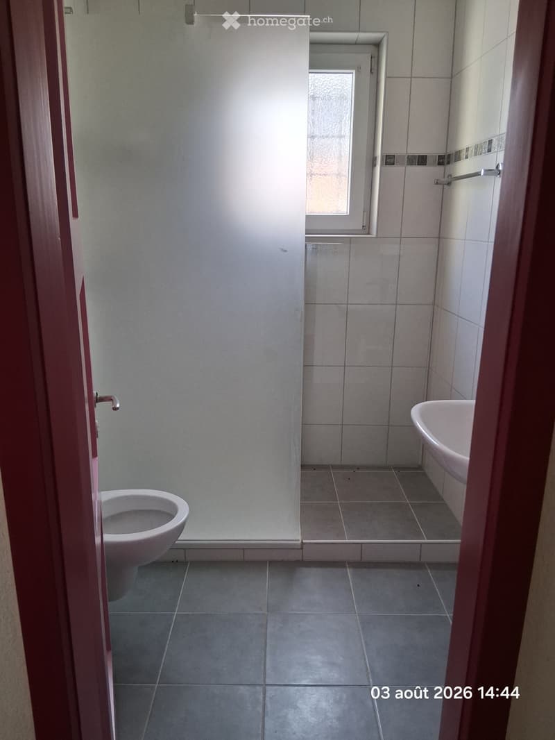 Spacieux 3,5 pièces (5)