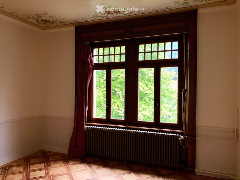 Appartement dans une maison de maitre (5)