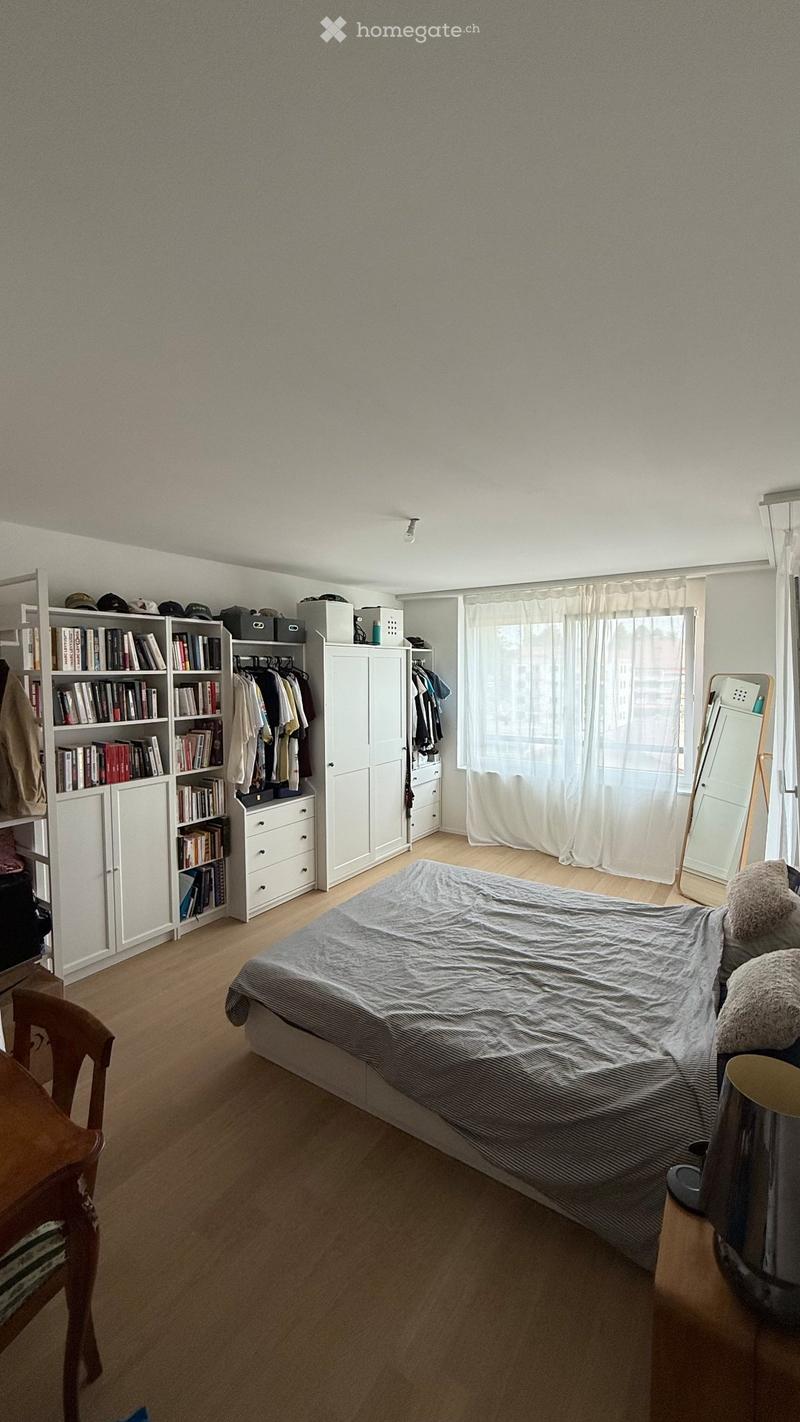 Appartement de 3.5 pces dans nouvelle construction à louer (4)