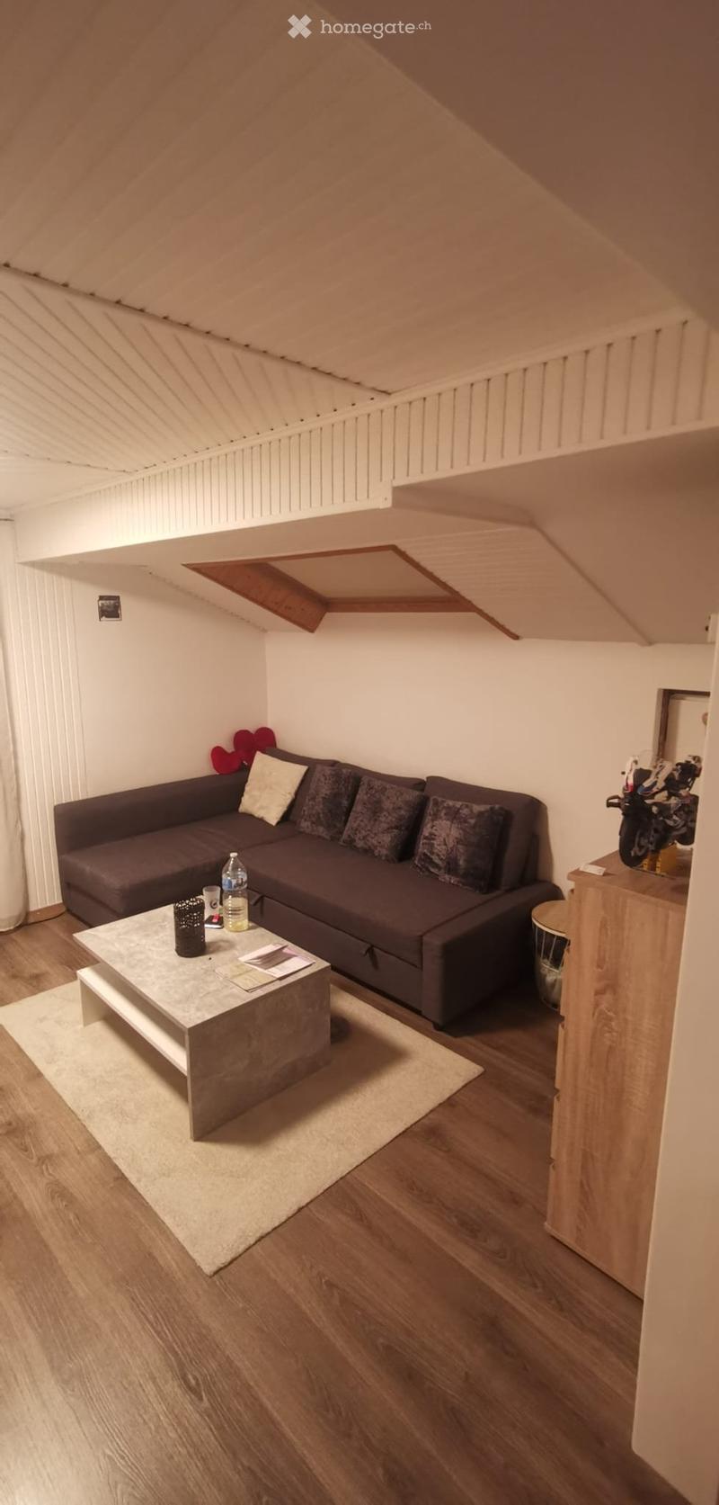 Bel appartement lumineux (3)