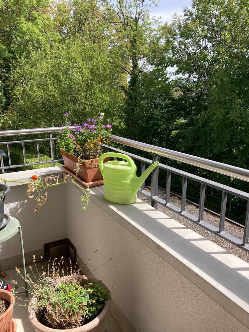 Lumineux 3,5 pièces en bordure de forêt (4)