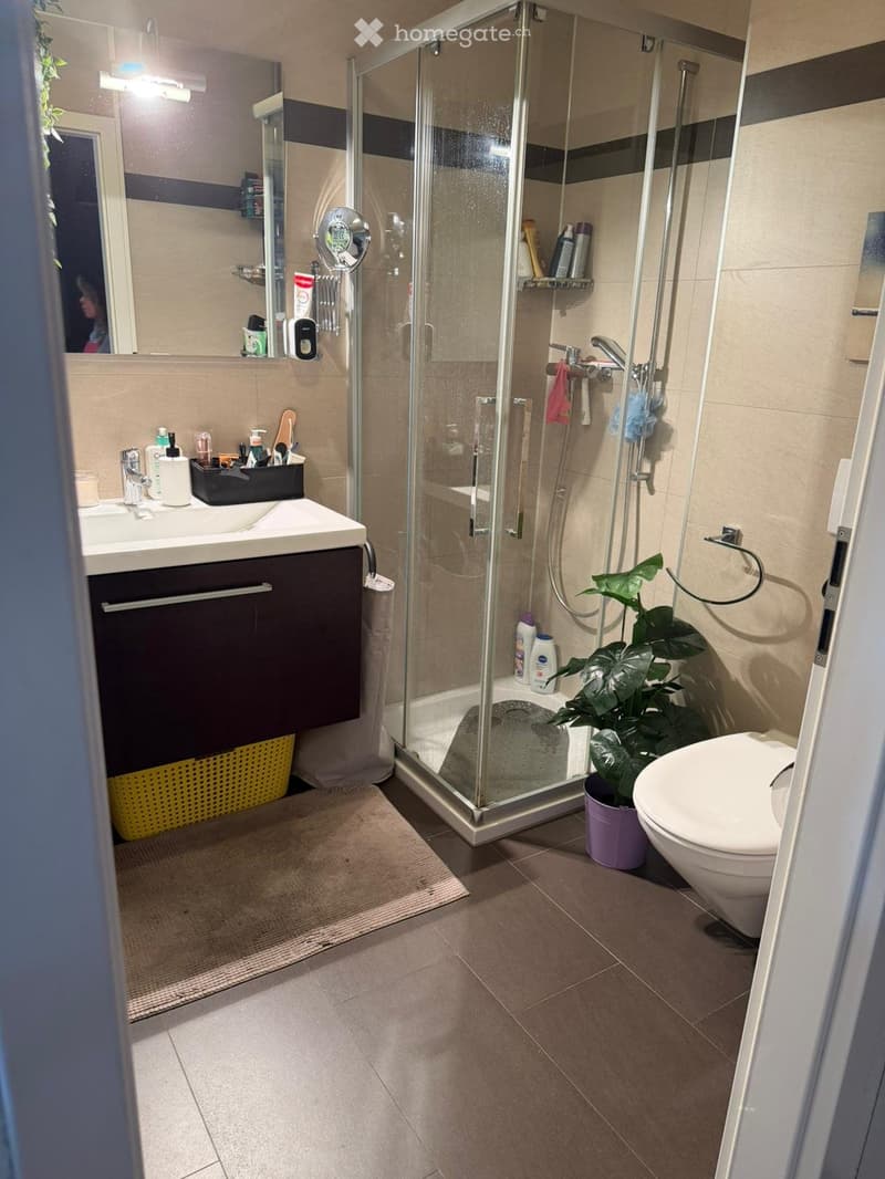 Grand appartement à louer avec place de parc intérieure (5)