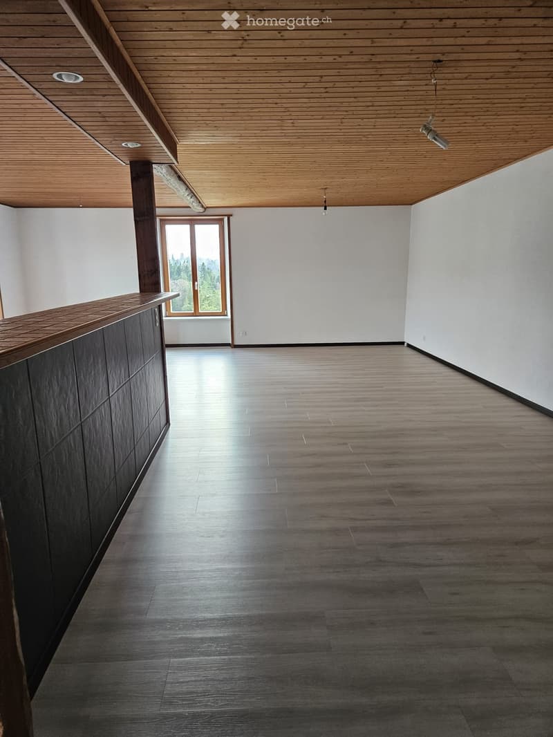 A louer appartement 6,5 pièces La Ferrières (2)