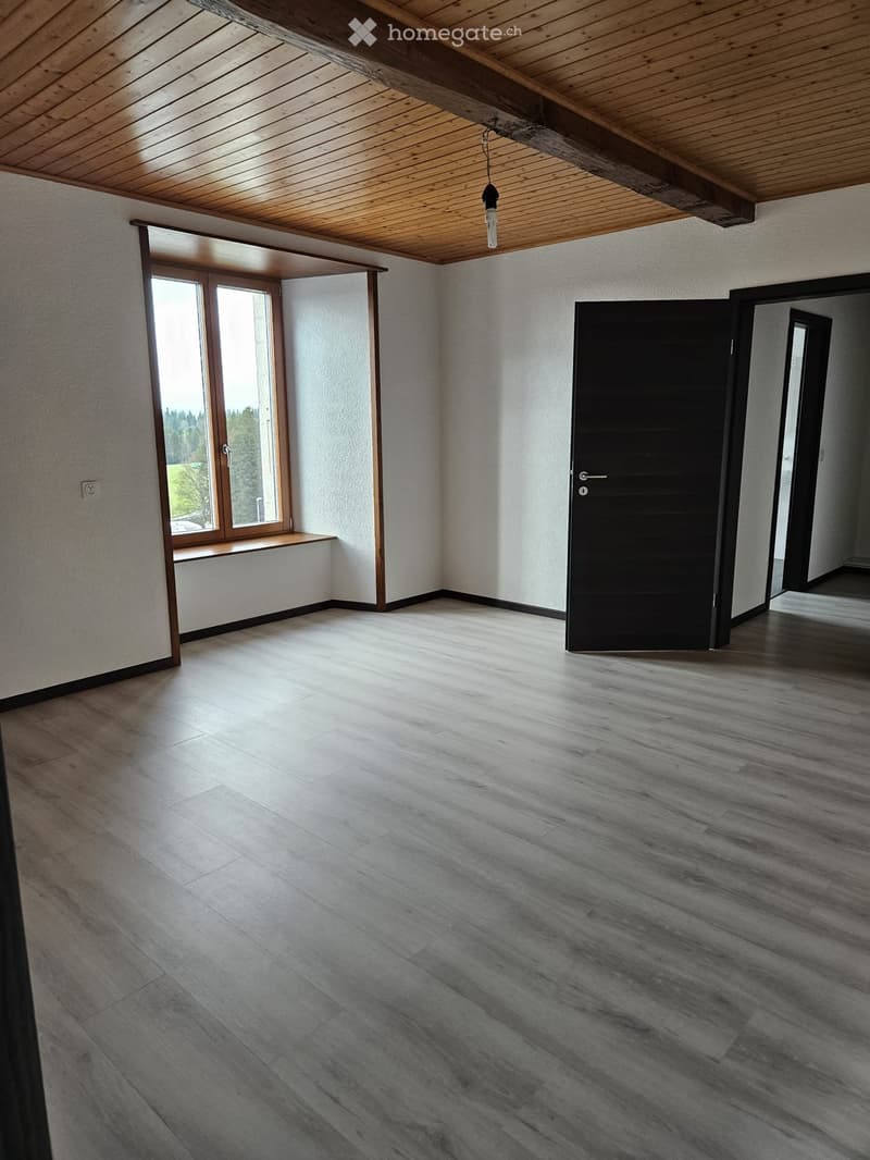 A louer appartement 6,5 pièces La Ferrières (4)