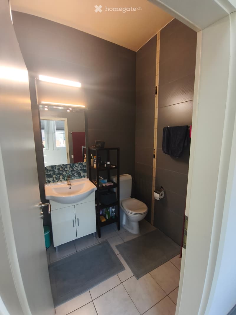 Reprise de bail Appartement 2,5 pièces avec terrasse (4)