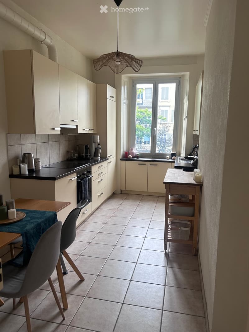 Grand appartement lumineux (3)