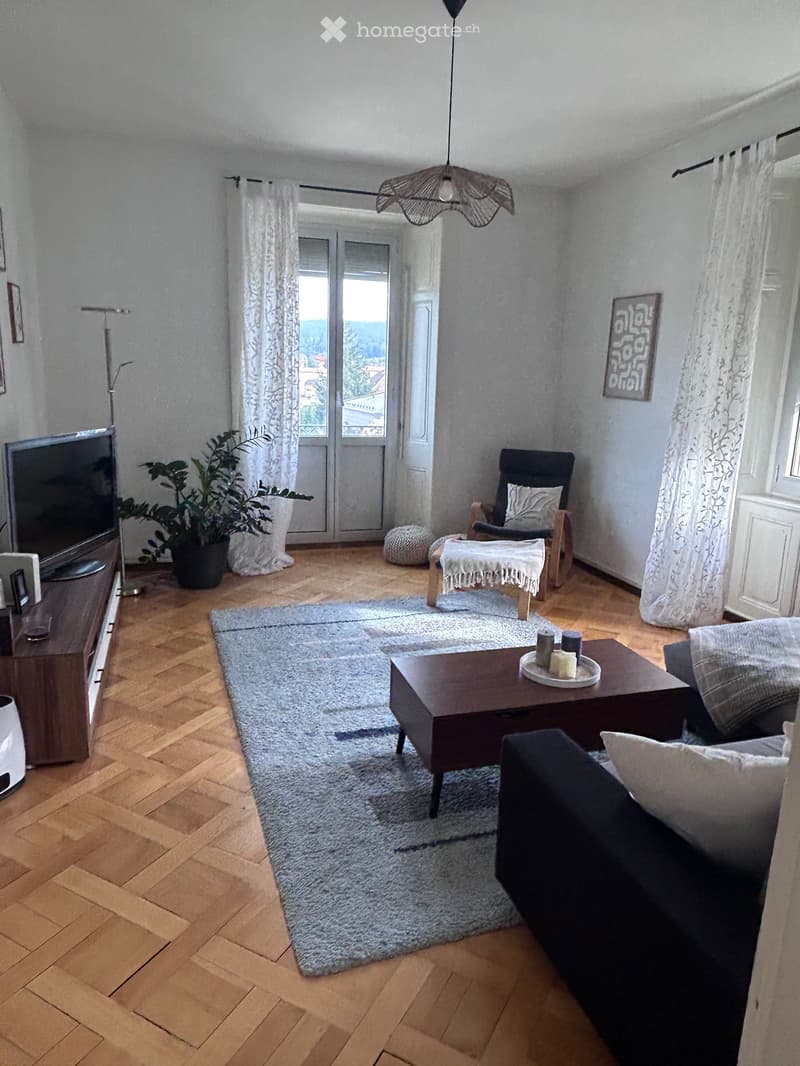 Grand appartement lumineux (2)