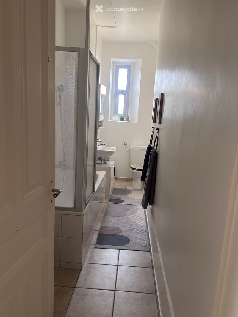 Grand appartement lumineux (5)