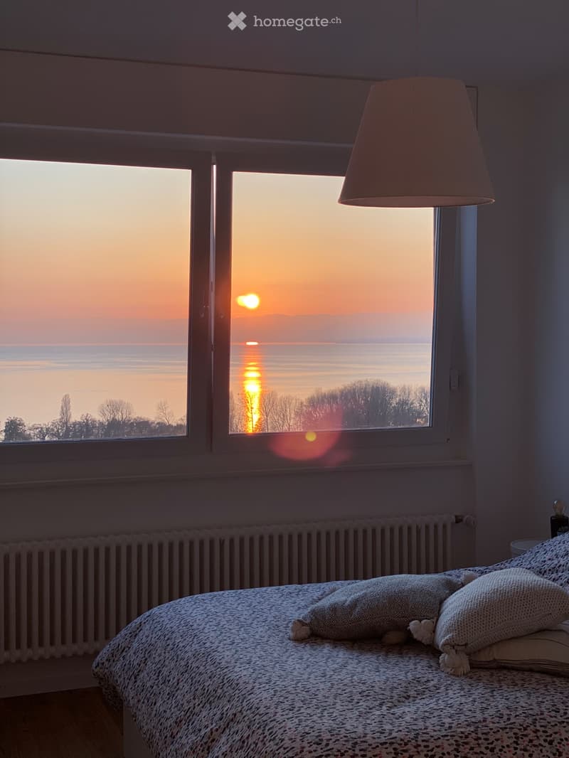 À louer, parking inclus: Appartement 3.5 pièces, attique (3)
