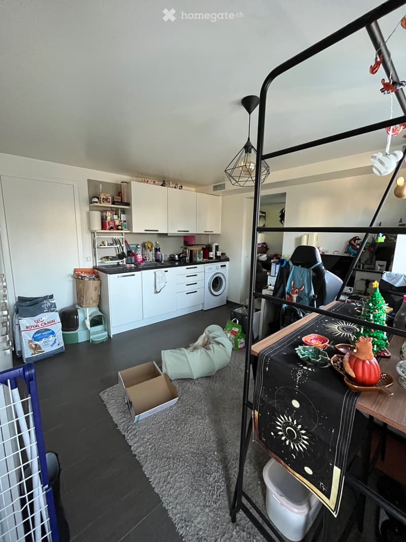 Studio de 35m2, Fribourg Jura, 1er novembre ou à convenir (1)