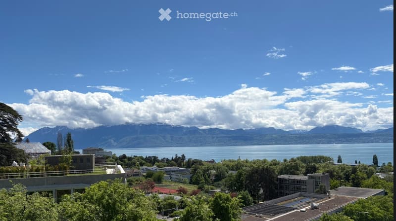 Colocation - Appartement 3.5p avec vue à deux pas du lac (3)