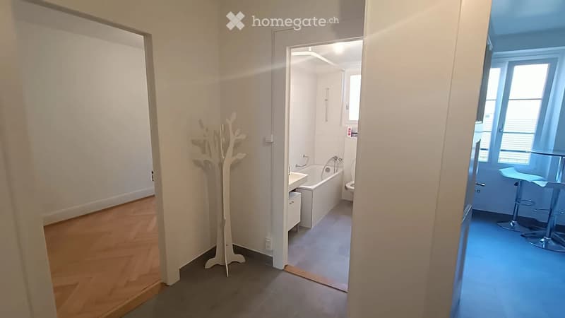 Loue chambre dans appartement - disponible début septembre (4)