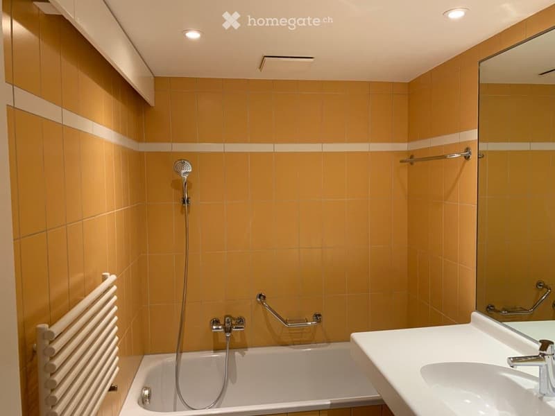Magnifique duplex 120 m² (3 chambres, 2 salles de bains) (3)