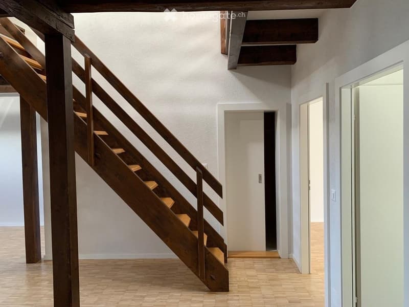Magnifique duplex 120 m² (3 chambres, 2 salles de bains) (4)