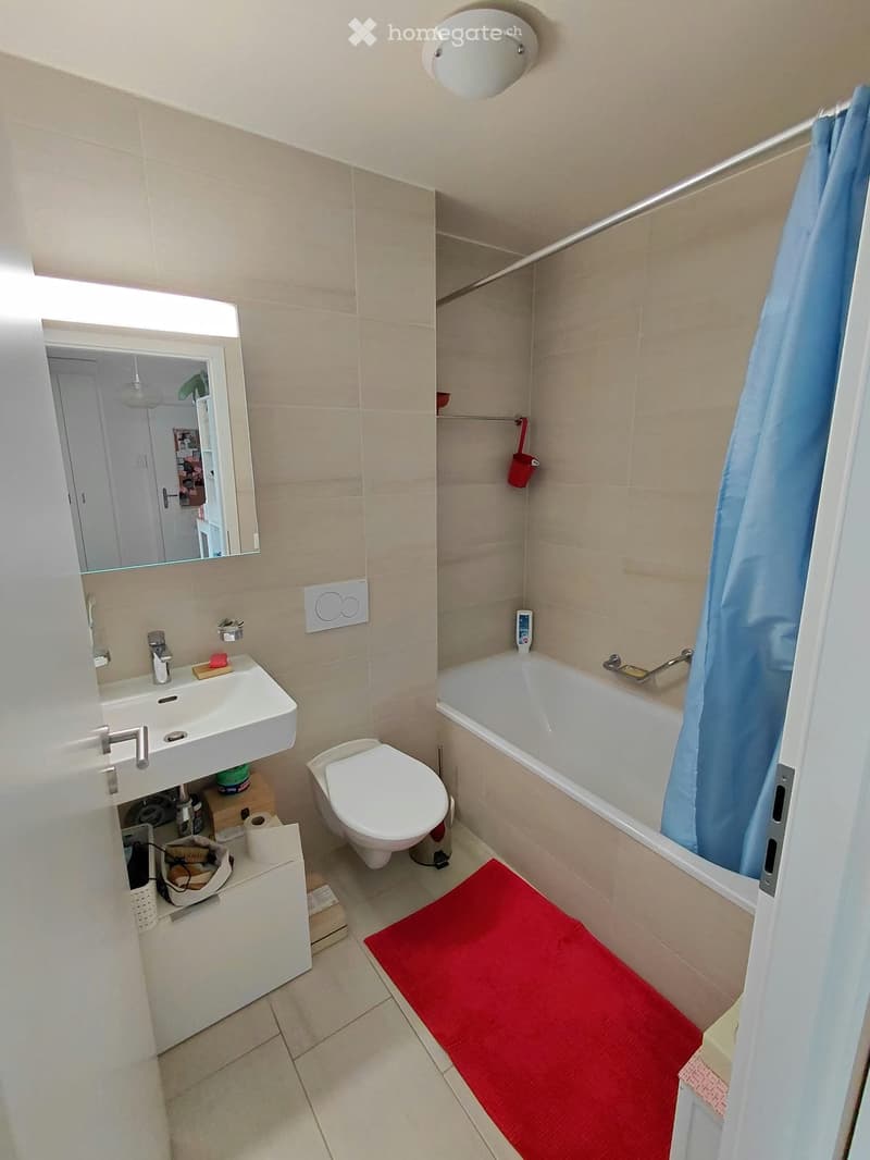 Magnifique 2.5 pièces avec grand balcon (4)