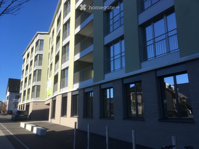 Appartement récent de 2,5 pièces avec vue sur les montagnes (1)