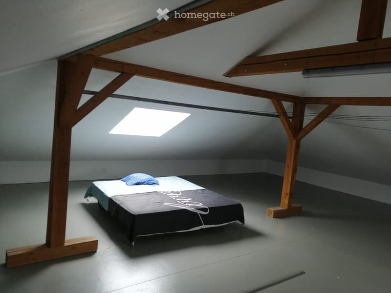 A louer superbe appartement dans maison individuelle. (4)