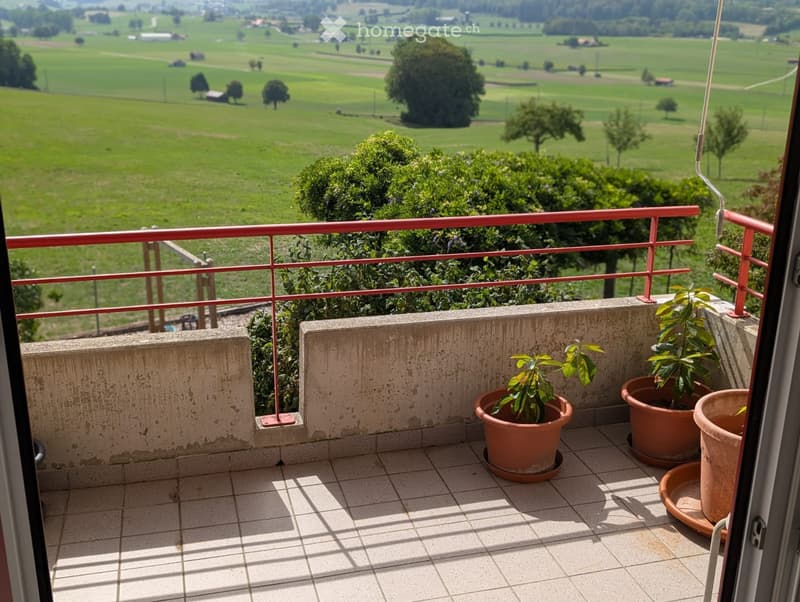 Appartement 4.5 pièces à 1684 Mézières (2)