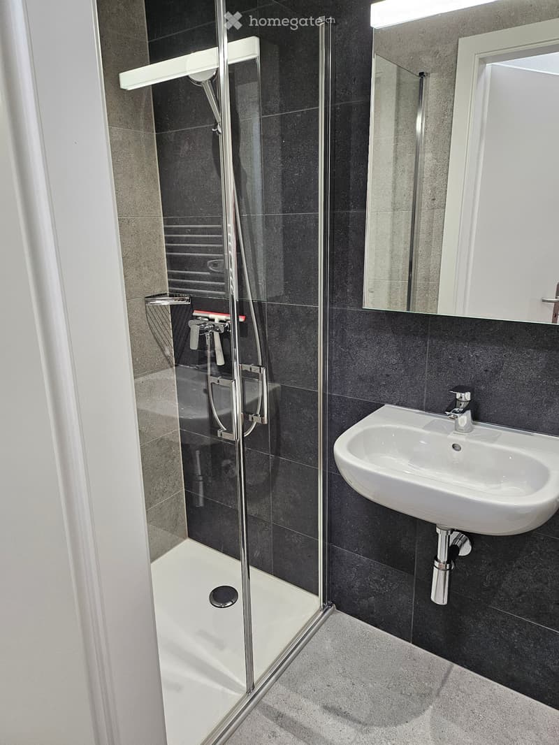 Charmant appartement, reprise de bail (5)
