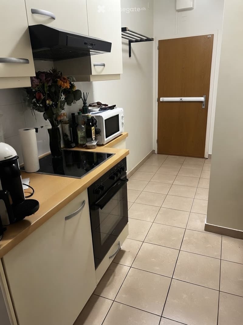 Appartement 1.5 pièce, vieille-ville (3)
