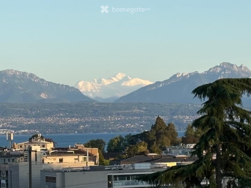 Magnifique 3,5 pièces avec vue  Lac & Mont-Blanc  Morges (5)