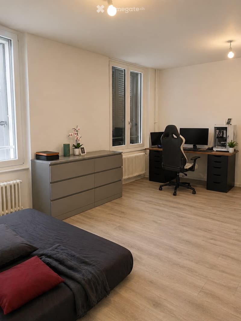 Reprise de bail appartement 2,5 pièces (5)