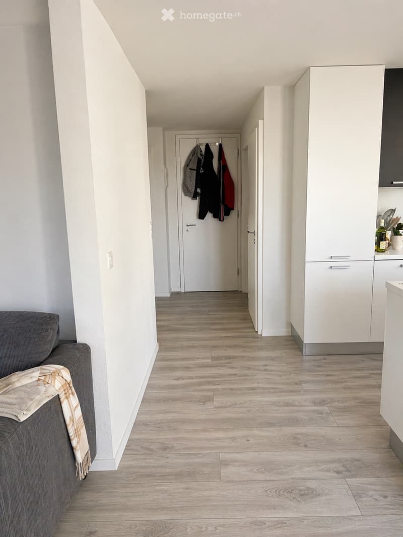 Reprise de bail appartement 2,5 pièces (3)