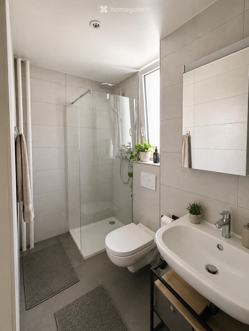 Reprise de bail appartement 2,5 pièces (4)