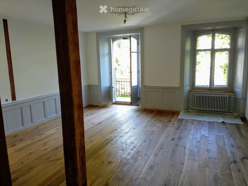 Magnifique appartement plein centre de la Chaux-de-Fonds (2)