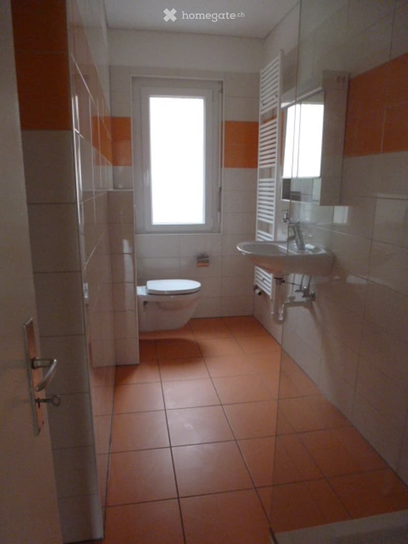 Appartement à louer de 5,5 pièces CHF 1 200.- par mois (5)