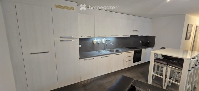 Appartement 3,5 (2)