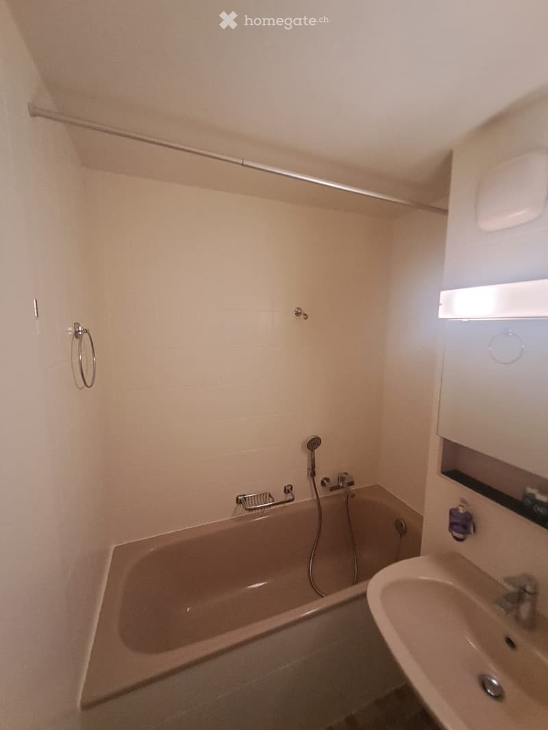 Appartement meublé 2,5 pièces avec grande balcon  St-Cergue (3)