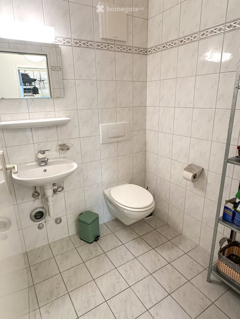 Reprise de bail - Appartement 3.5 pièces. (6)