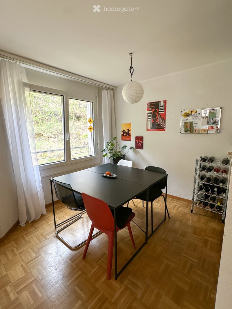 Reprise de bail - Appartement 3.5 pièces. (12)